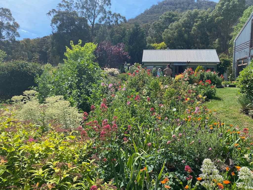 Milthorpe Garden Ramble Image -69142f5cdc6cb