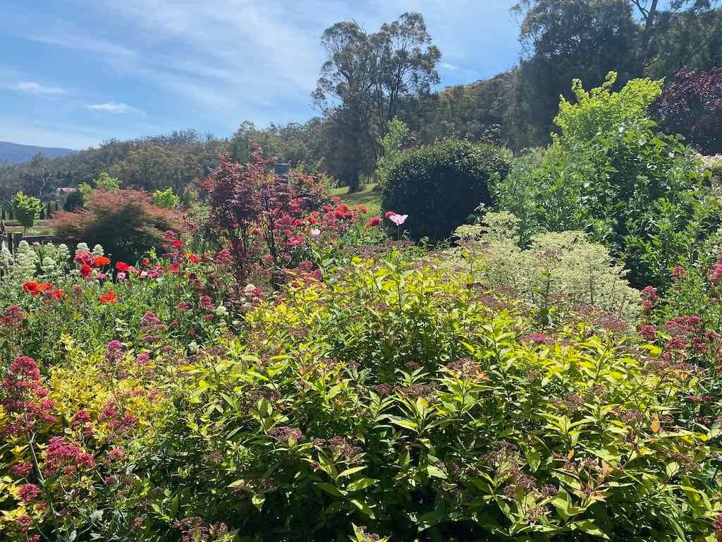 Milthorpe Garden Ramble Image -69142f5d4b431