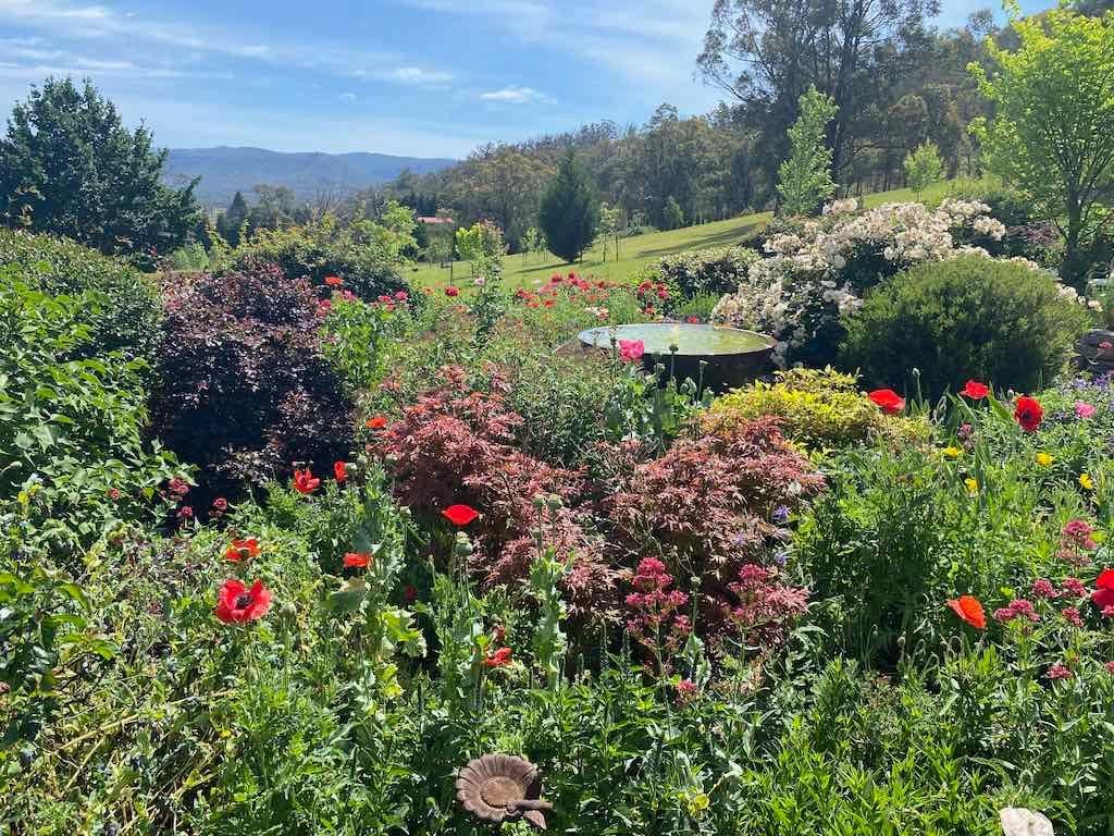 Milthorpe Garden Ramble Image -69142f5da5c65