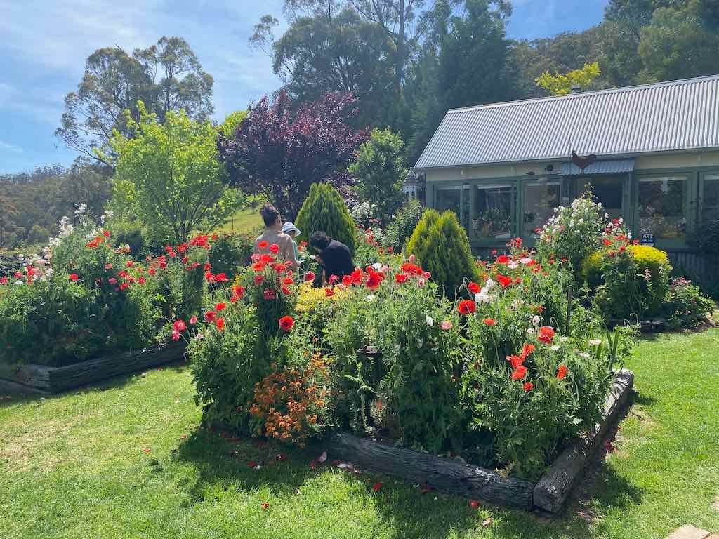 Milthorpe Garden Ramble Image -69142f5e12c42