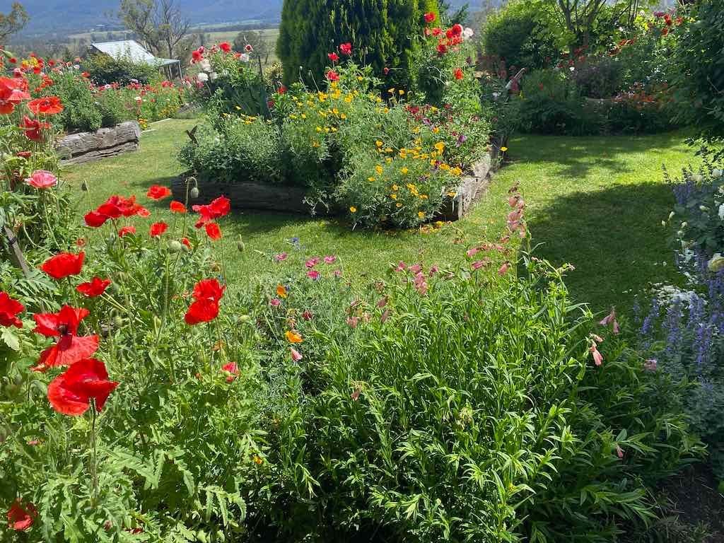 Milthorpe Garden Ramble Image -69142f5f0c8bc