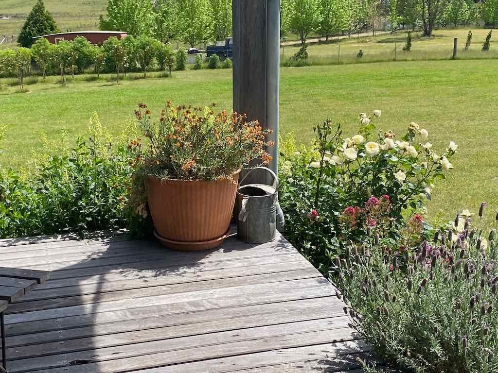 Milthorpe Garden Ramble Image -69142f6395b2b