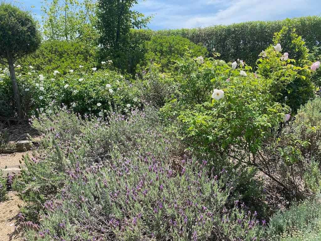 Milthorpe Garden Ramble Image -69142f672f9b4