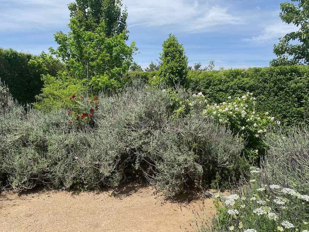 Milthorpe Garden Ramble Image -69142f6784714