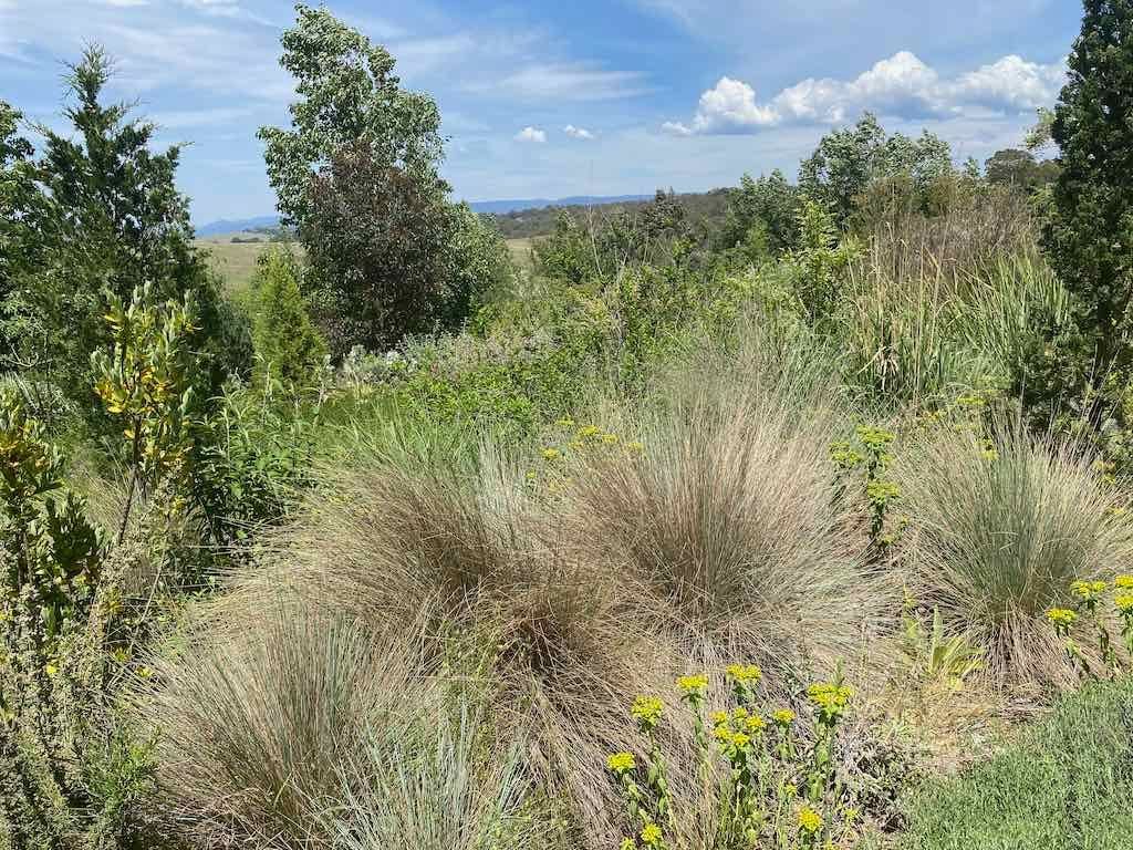 Milthorpe Garden Ramble Image -69142f684282b