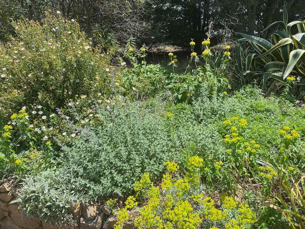 Milthorpe Garden Ramble Image -69142f68a889f