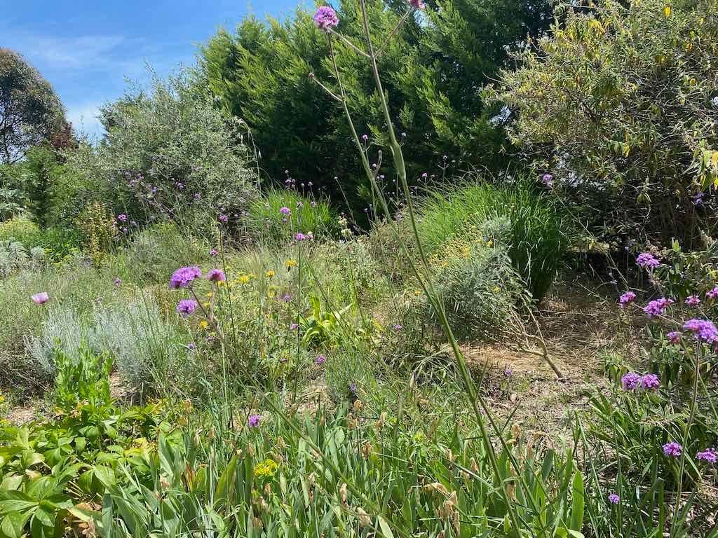 Milthorpe Garden Ramble Image -69142f69c8c34