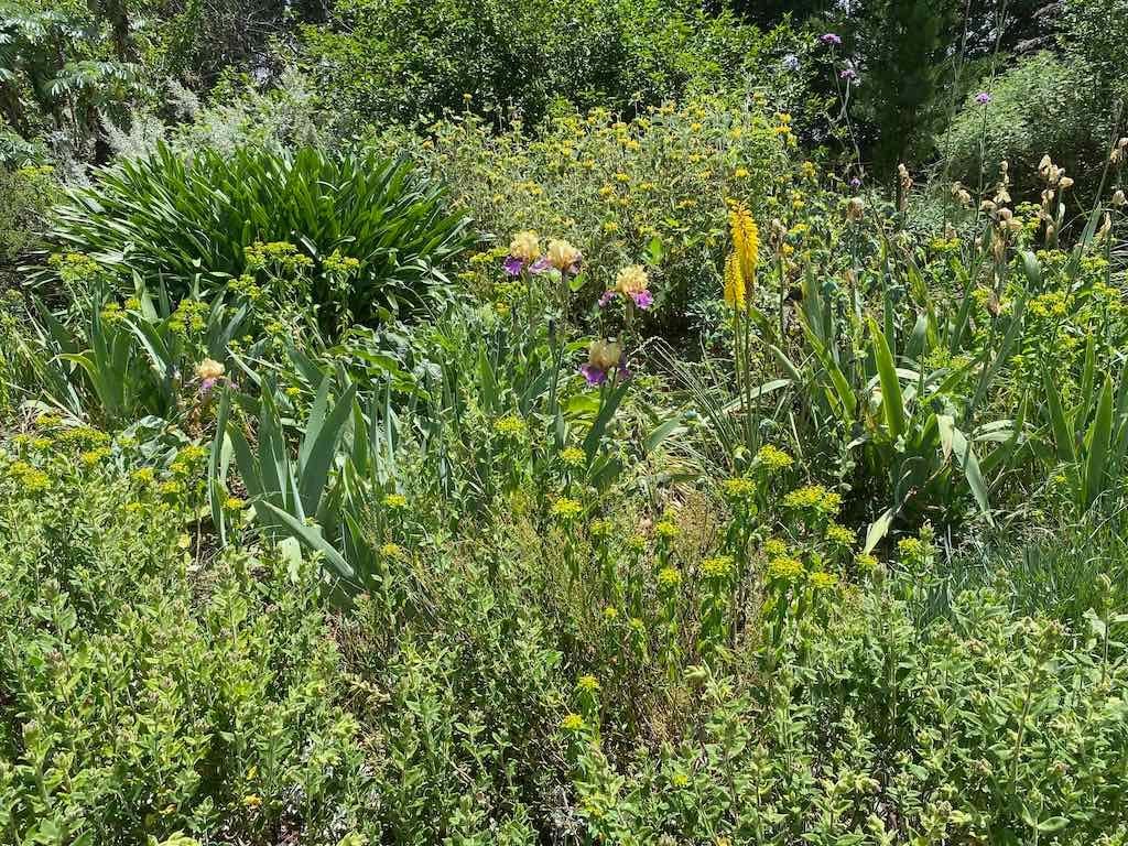 Milthorpe Garden Ramble Image -69142f6a9e105