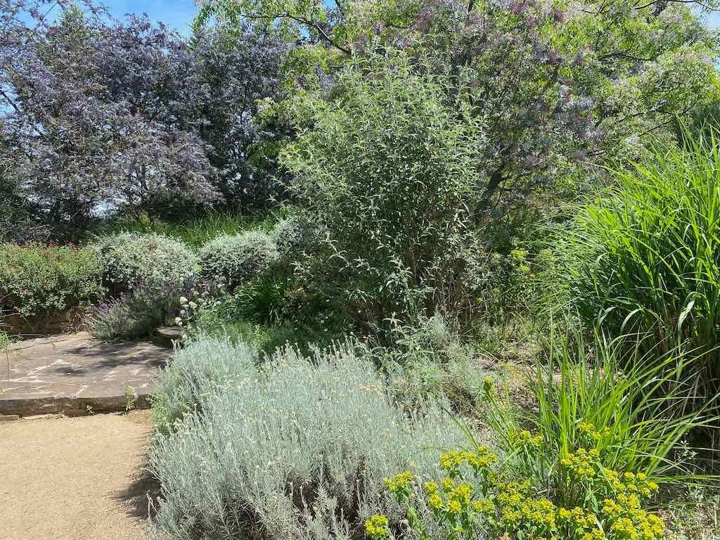 Milthorpe Garden Ramble Image -69142f6c2d81e