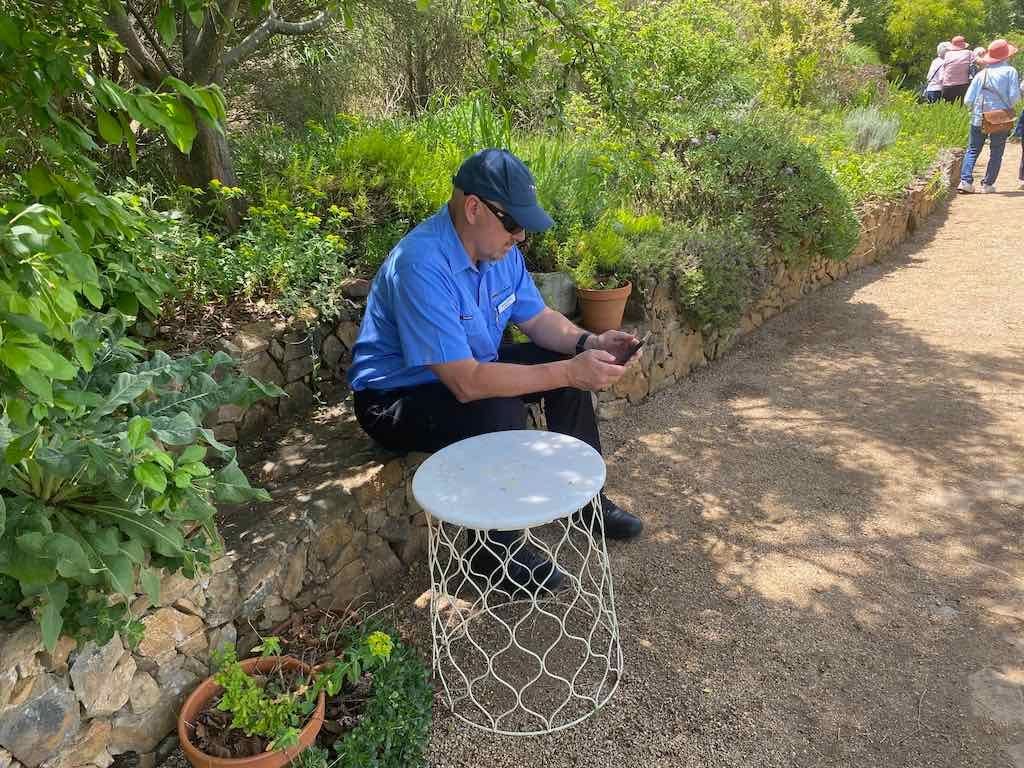 Milthorpe Garden Ramble Image -69142f6c84d99