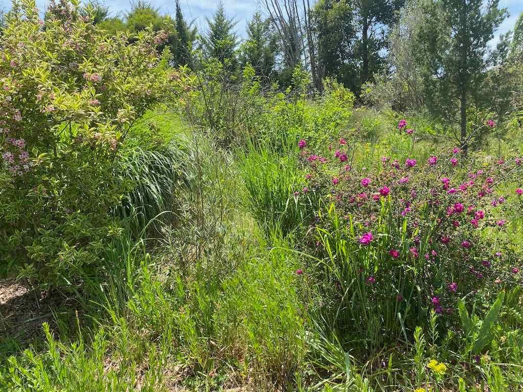 Milthorpe Garden Ramble Image -69142f6cdcf09