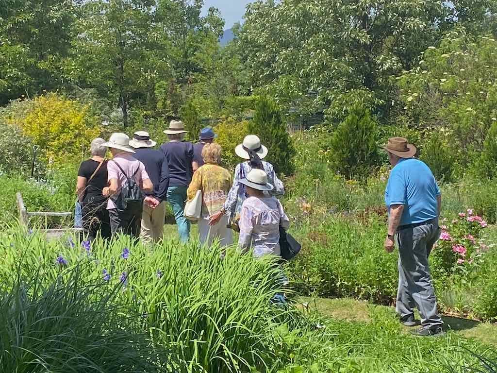 Milthorpe Garden Ramble Image -69142f6d94acb