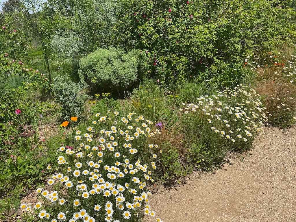 Milthorpe Garden Ramble Image -69142f6e44545