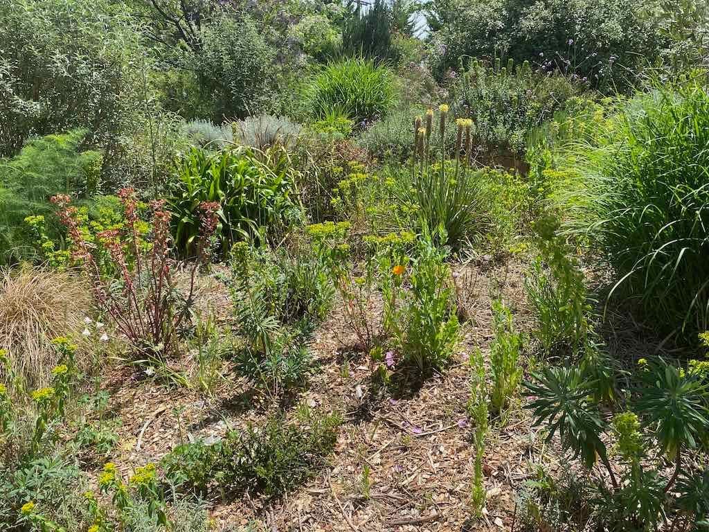 Milthorpe Garden Ramble Image -69142f6f0b669