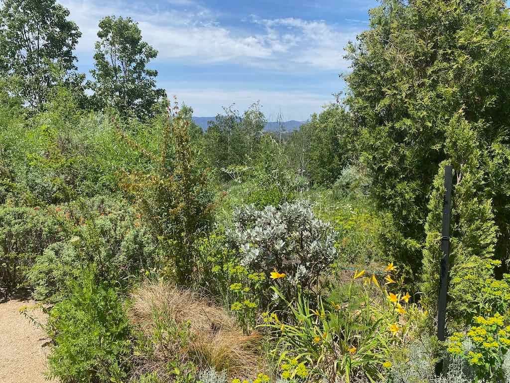 Milthorpe Garden Ramble Image -69142f6f6ae5d