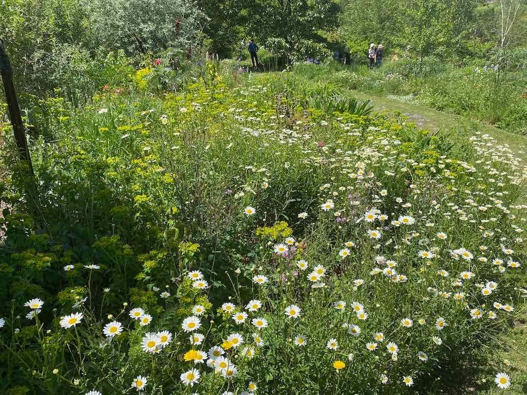 Milthorpe Garden Ramble Image -69142f6fbc9db