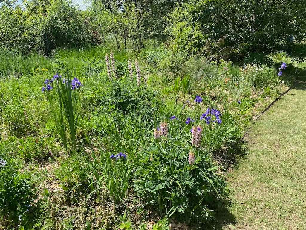 Milthorpe Garden Ramble Image -69142f7020446