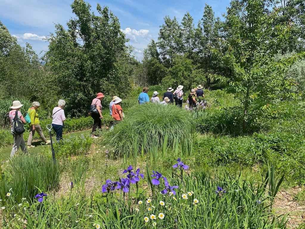 Milthorpe Garden Ramble Image -69142f70851aa