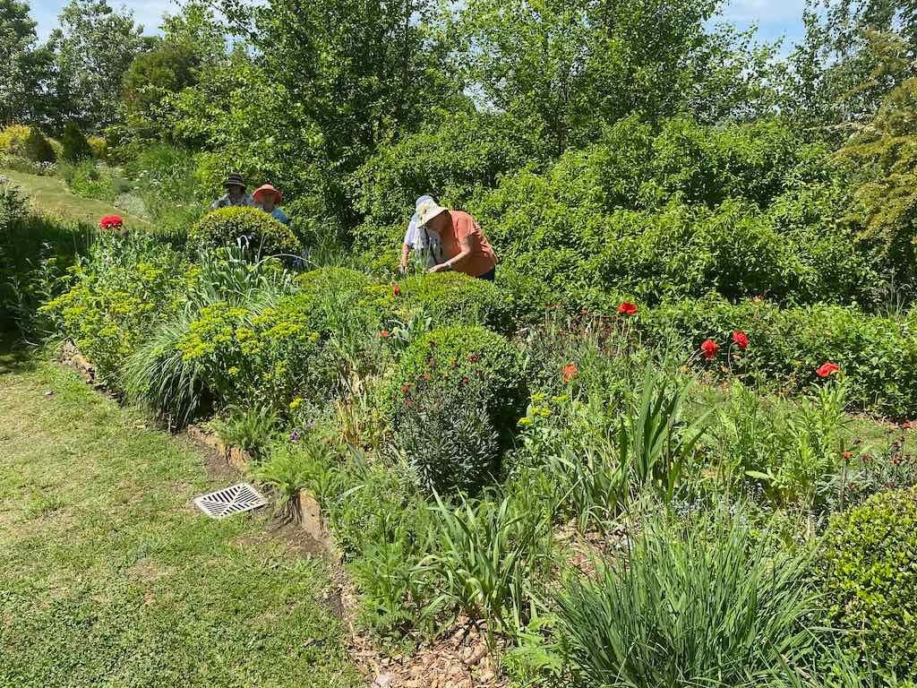 Milthorpe Garden Ramble Image -69142f71276cb