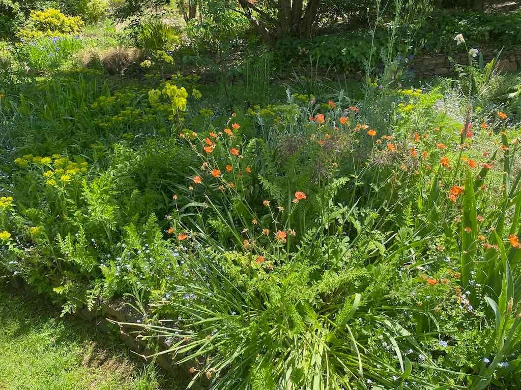 Milthorpe Garden Ramble Image -69142f72e58fe