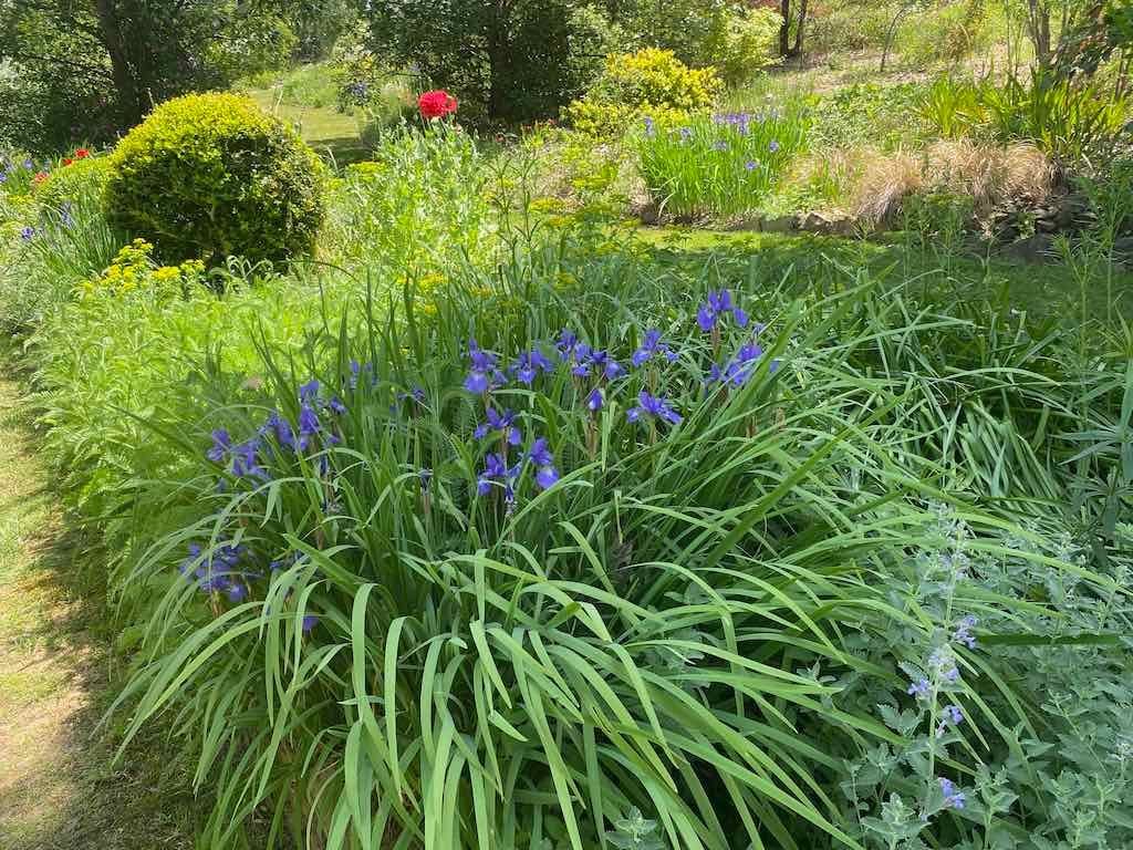 Milthorpe Garden Ramble Image -69142f734eb66