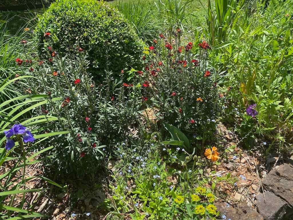 Milthorpe Garden Ramble Image -69142f7416361