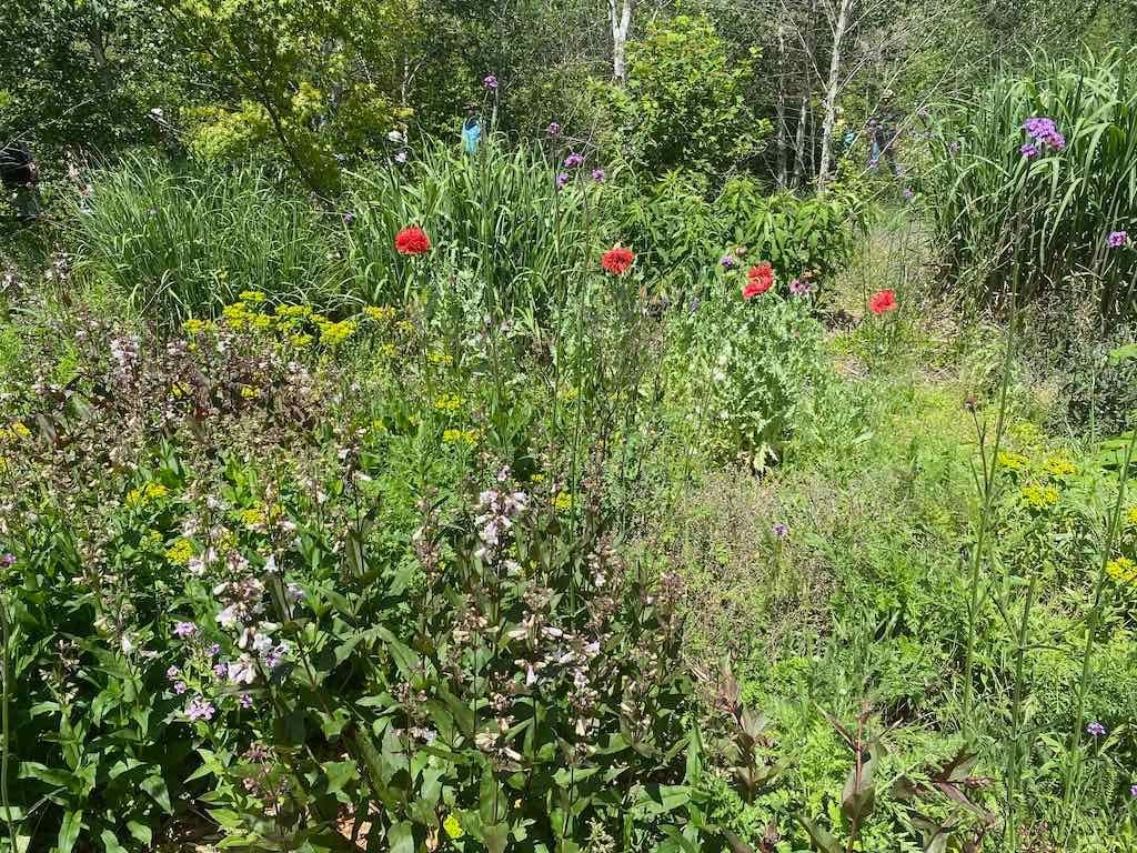 Milthorpe Garden Ramble Image -69142f74cf944