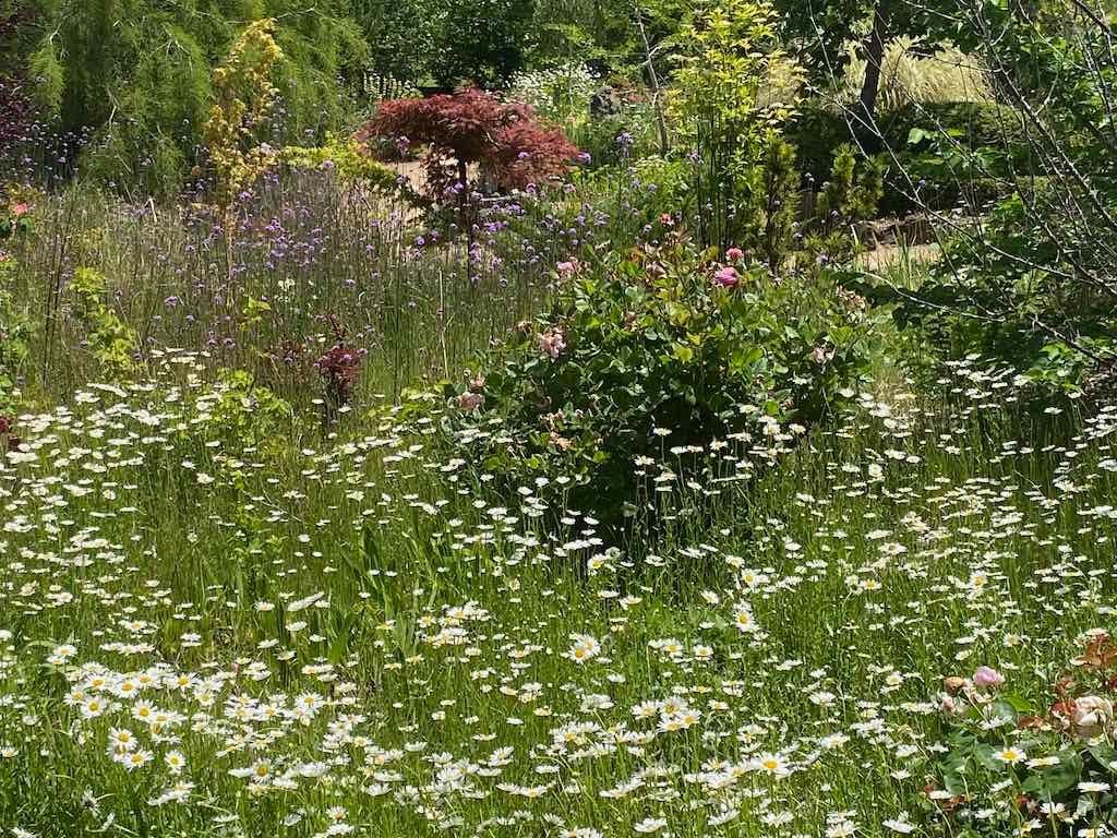 Milthorpe Garden Ramble Image -69142f795fa53