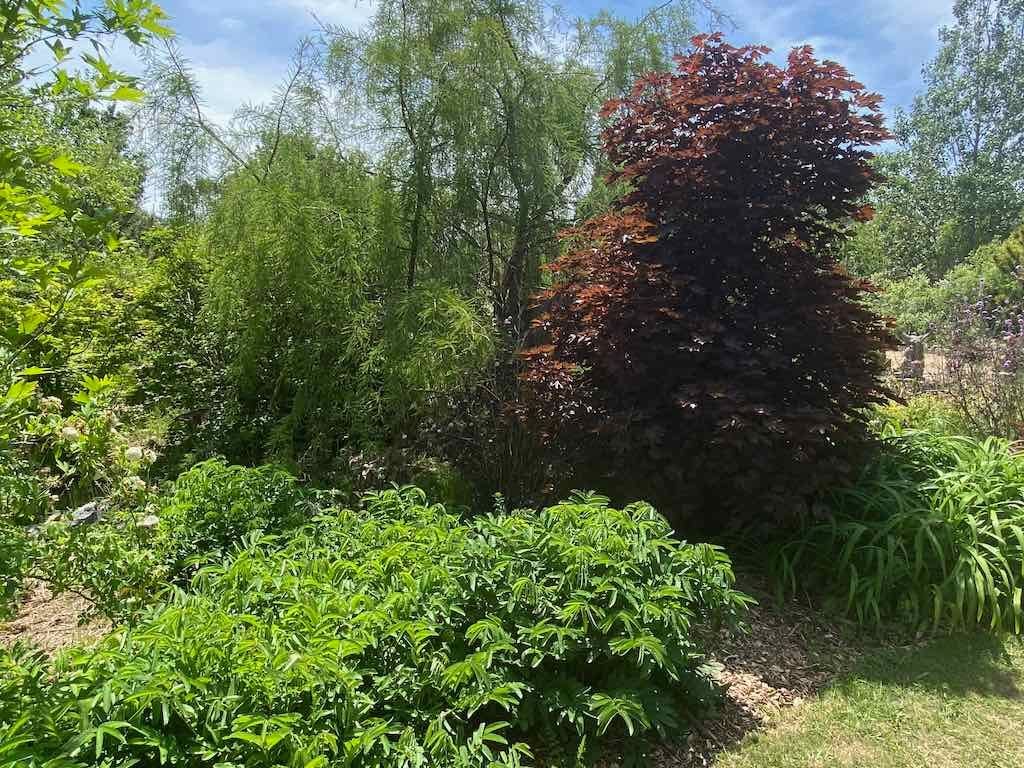 Milthorpe Garden Ramble Image -69142f7dafe05