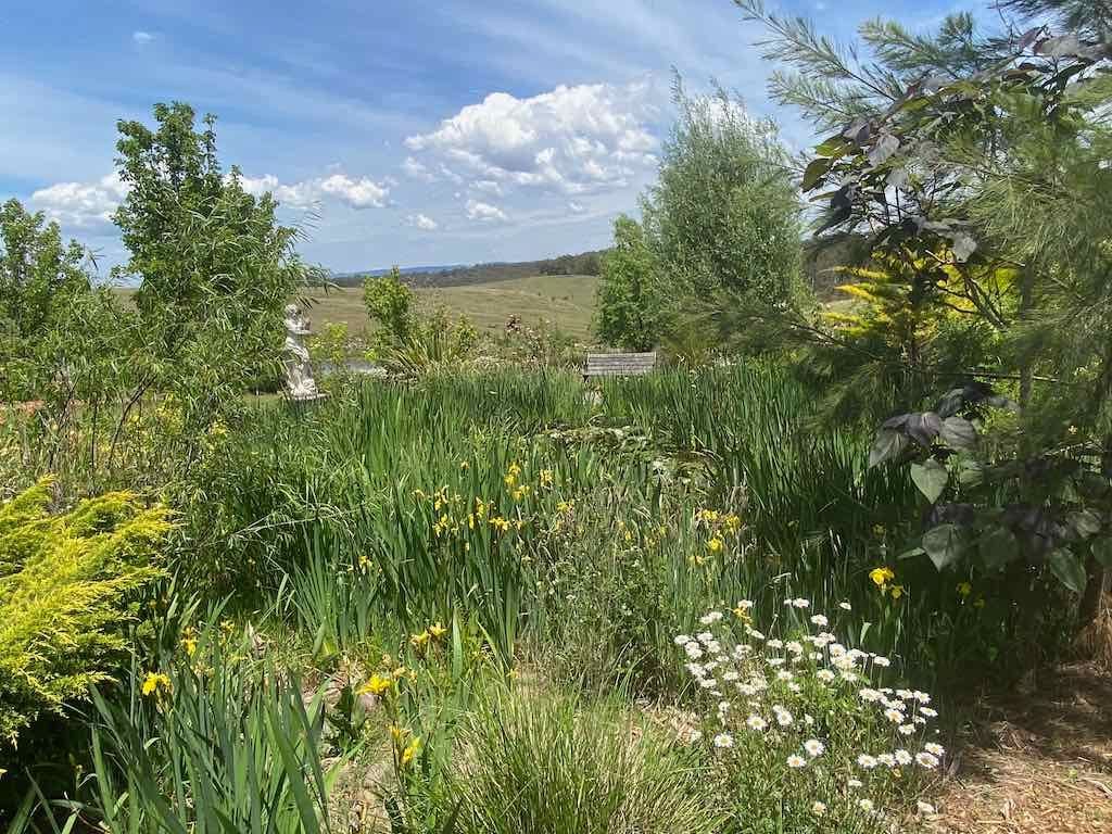 Milthorpe Garden Ramble Image -69142f7e6805f