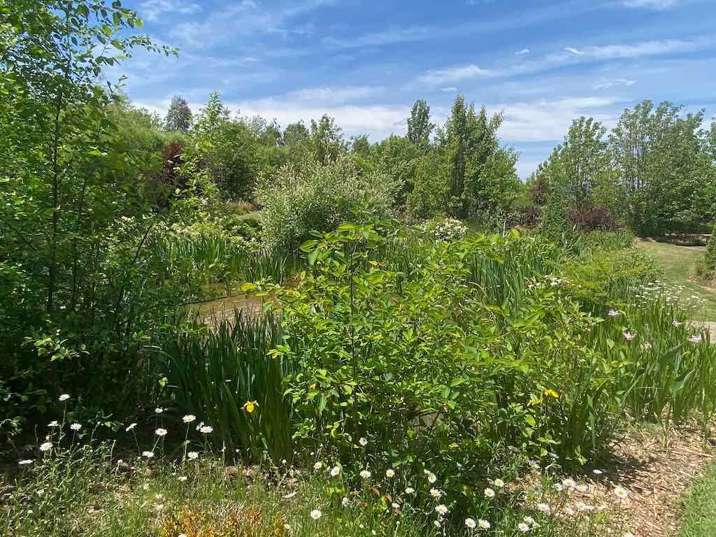 Milthorpe Garden Ramble Image -69142f7ebfb31