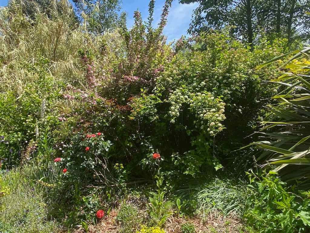 Milthorpe Garden Ramble Image -69142f7fe9b9c