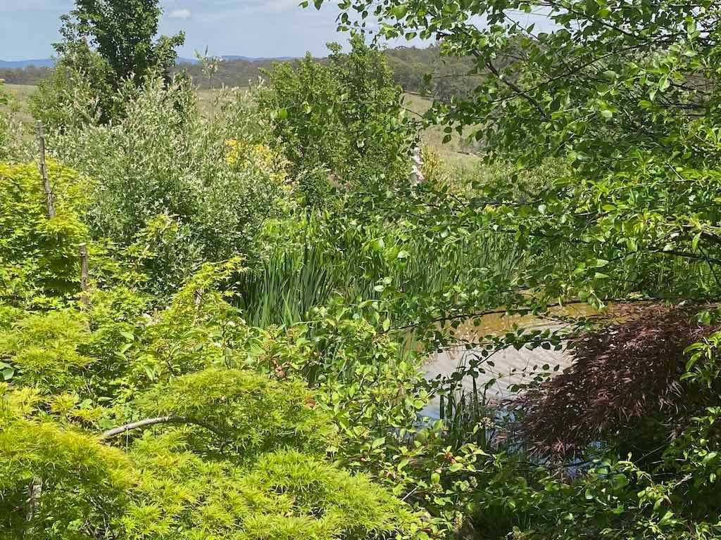 Milthorpe Garden Ramble Image -69142f80b81f5