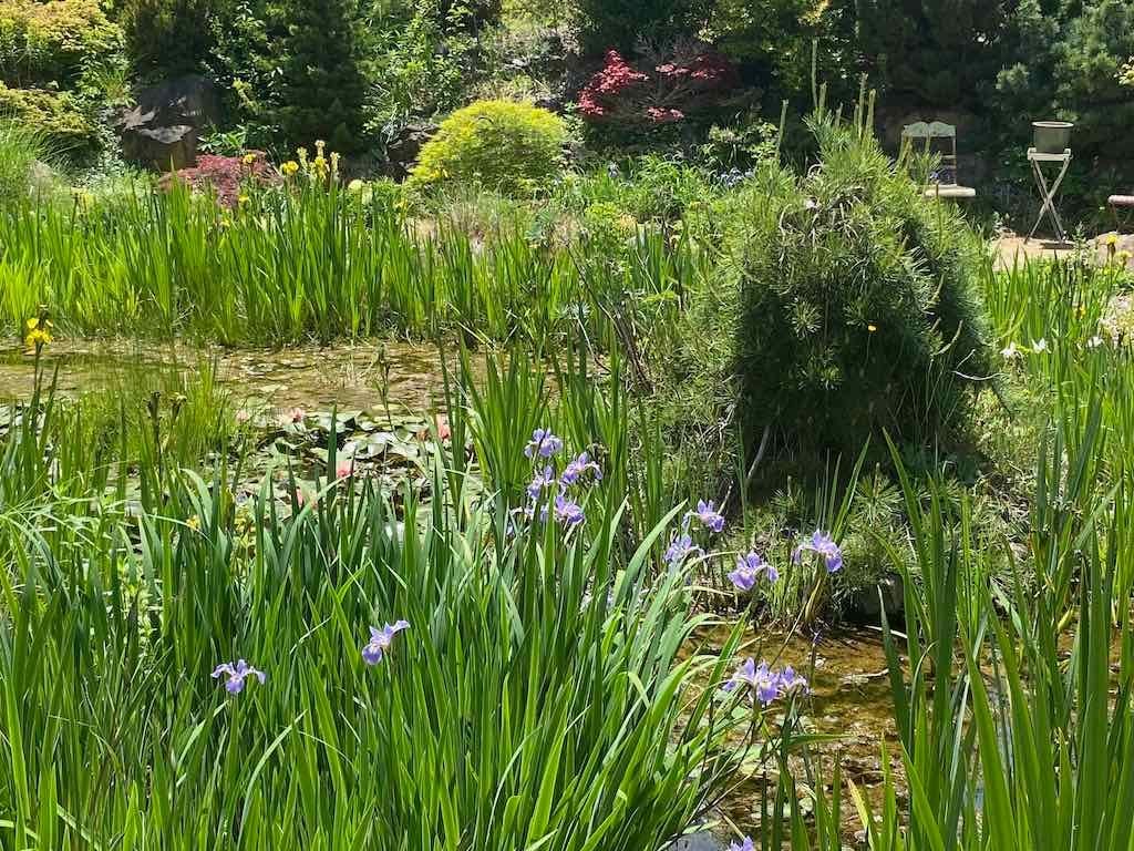 Milthorpe Garden Ramble Image -69142f8116b21