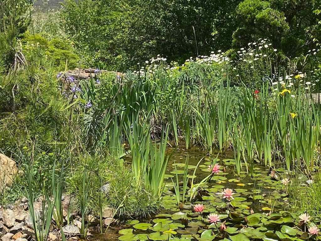 Milthorpe Garden Ramble Image -69142f836fe5a