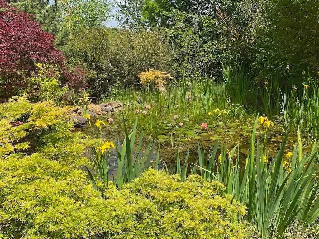 Milthorpe Garden Ramble Image -69142f846d231