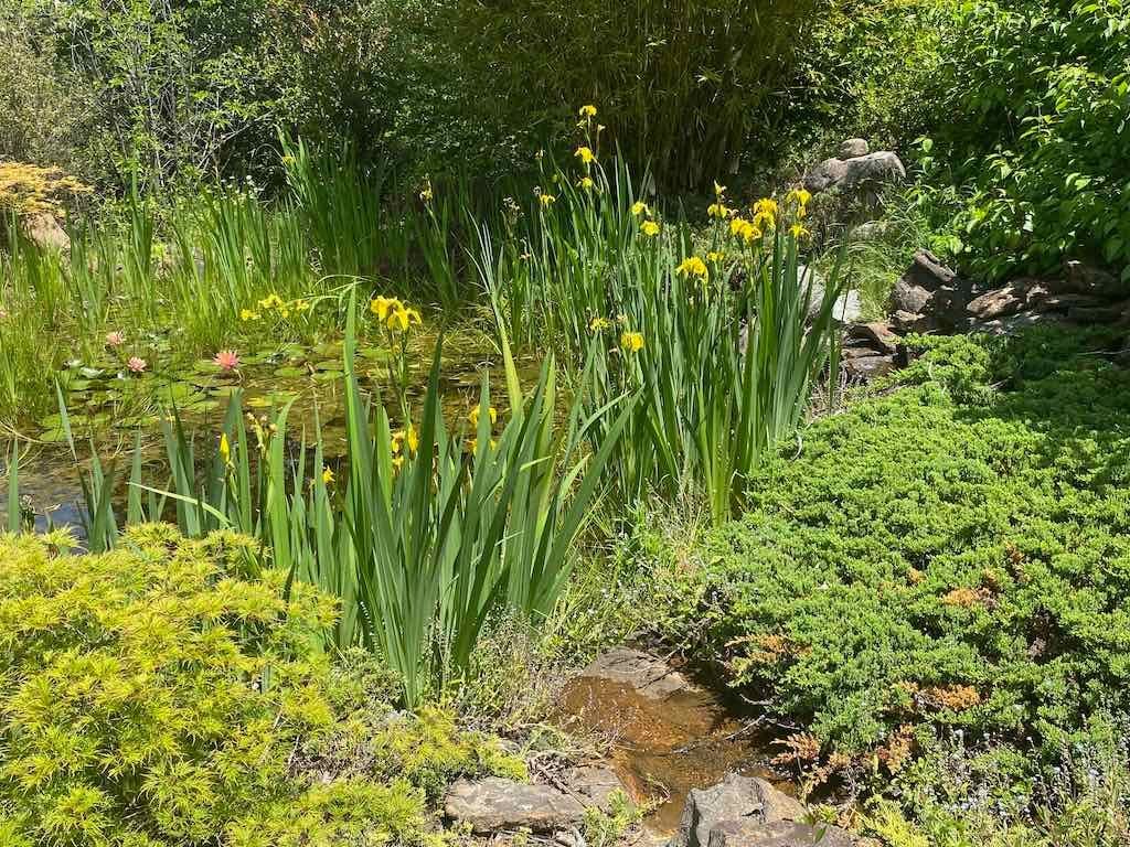 Milthorpe Garden Ramble Image -69142f850b866