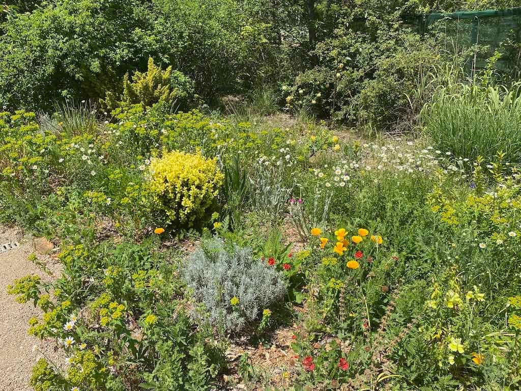 Milthorpe Garden Ramble Image -69142f864ba79