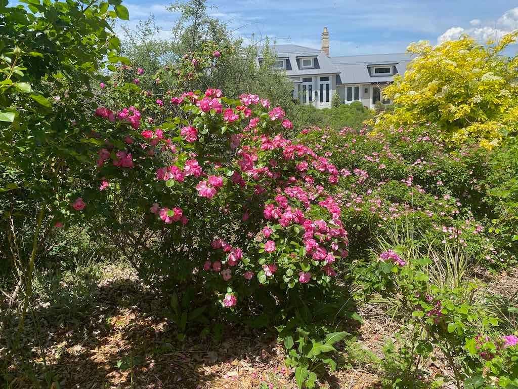 Milthorpe Garden Ramble Image -69142f86a7154