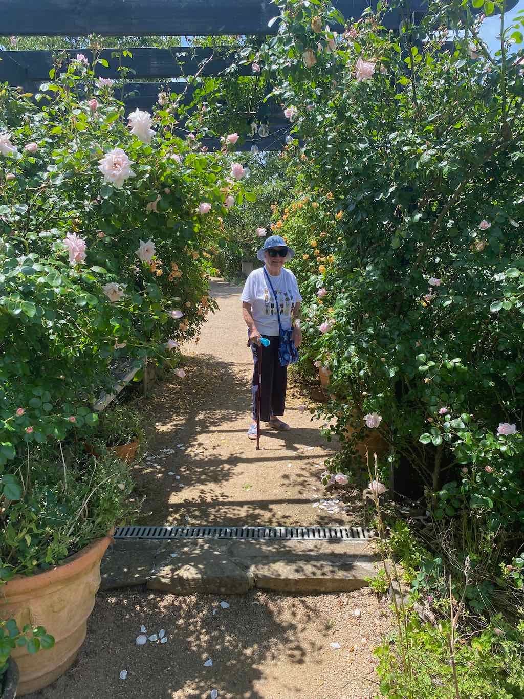 Milthorpe Garden Ramble Image -69142f87b5b44