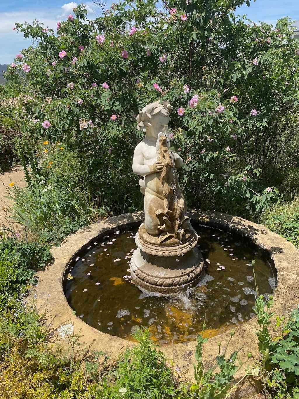 Milthorpe Garden Ramble Image -69142f882faae