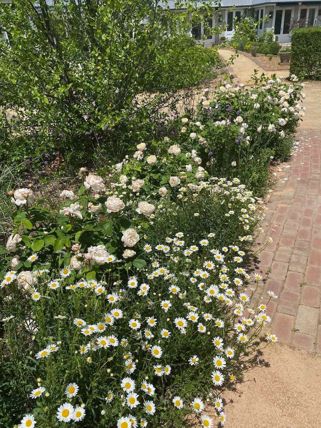 Milthorpe Garden Ramble Image -69142f8898121