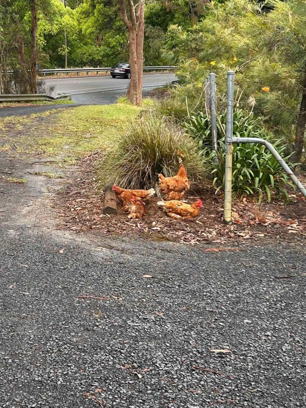 Milthorpe Garden Ramble Image -69142f8bdd737