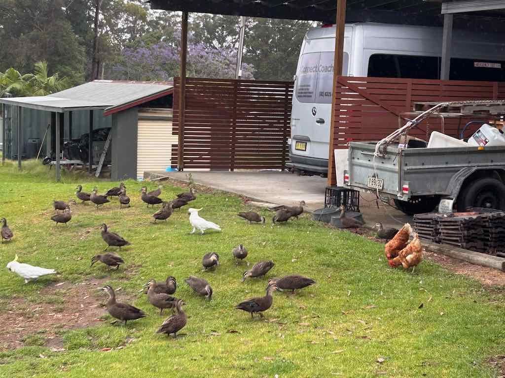 Milthorpe Garden Ramble Image -69142f8ca5aad