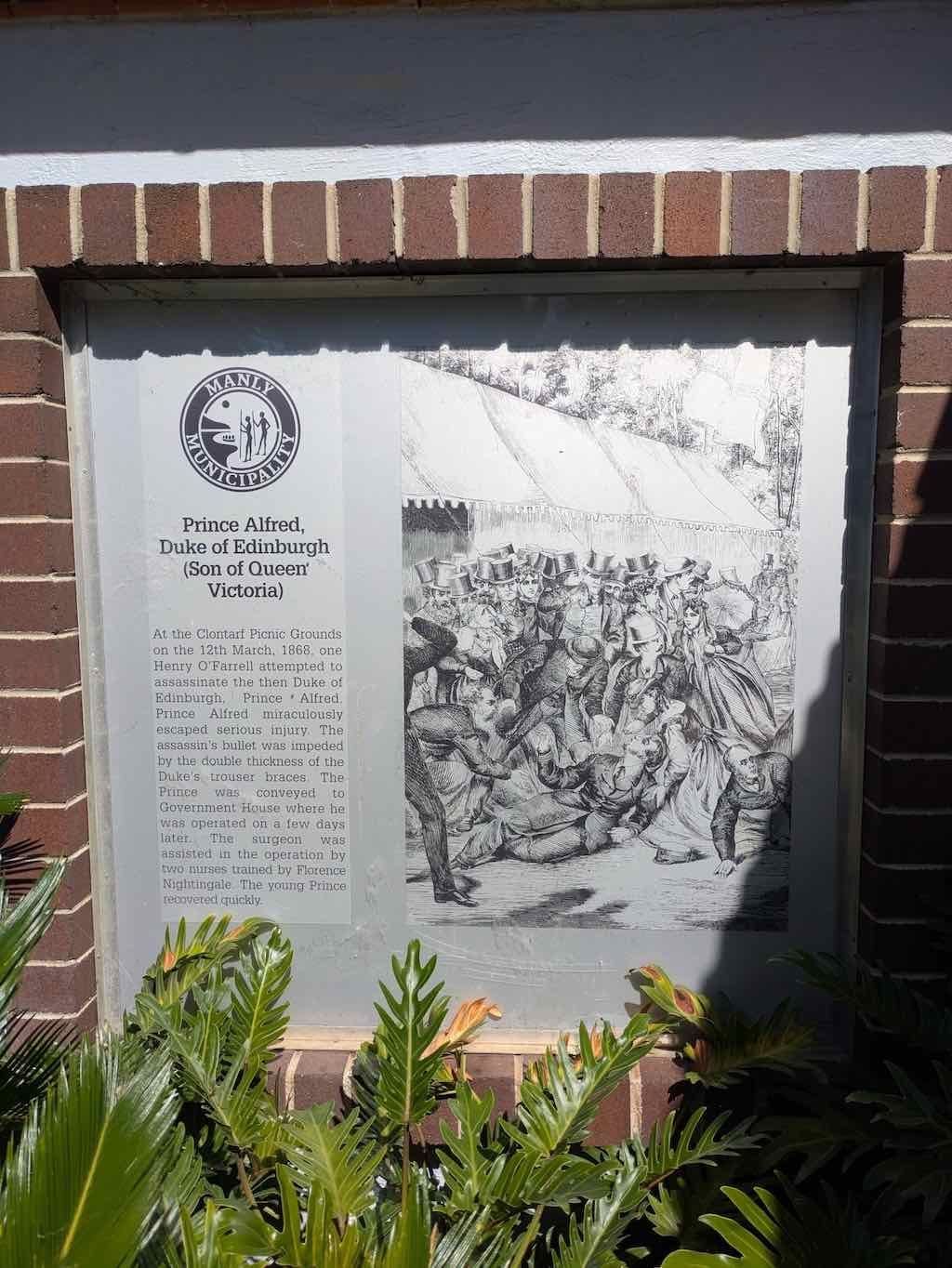 10th November :Northern Beaches Public Day Tour Image -6914e9dce7c7b