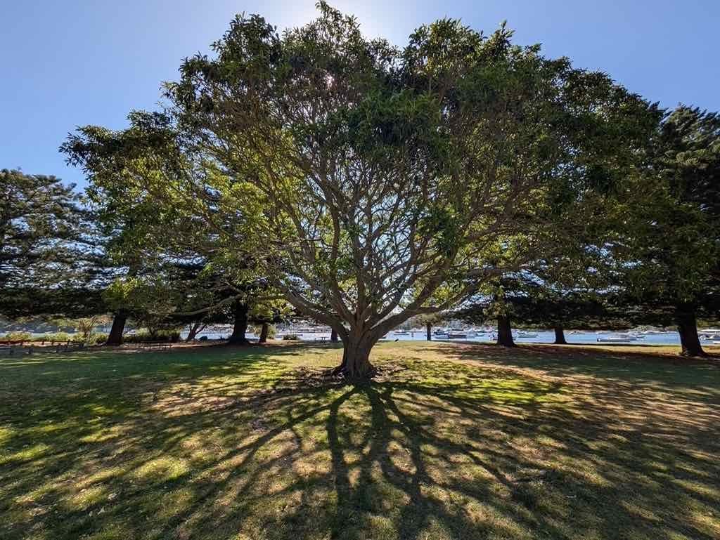 10th November :Northern Beaches Public Day Tour Image -6914e9dd6ea92