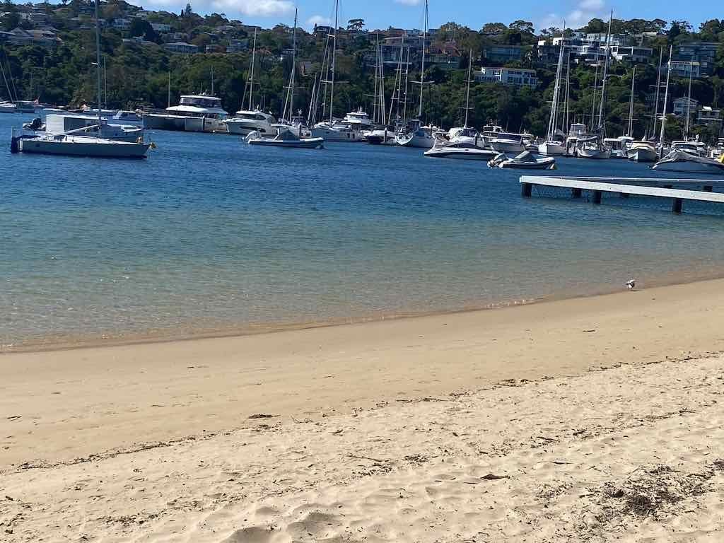 10th November :Northern Beaches Public Day Tour Image -6914e9dfc80b0