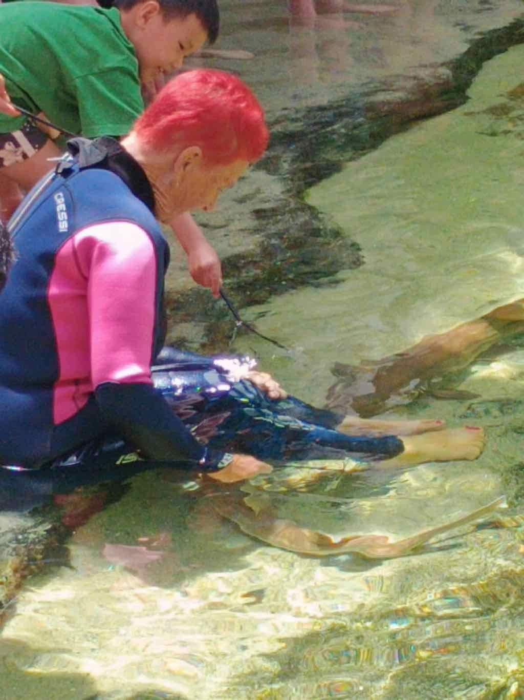 12th November PDT Irukandji + Cookabarra Barramundi Farm 12th November PDT Irukandji + Cookabarra Barramundi Farm