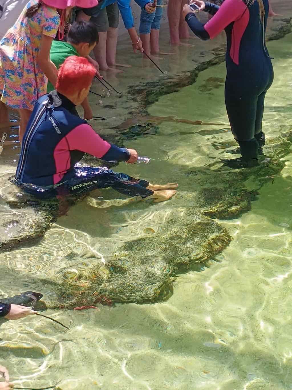 12th November PDT Irukandji + Cookabarra Barramundi Farm Image -6914eba0ef754