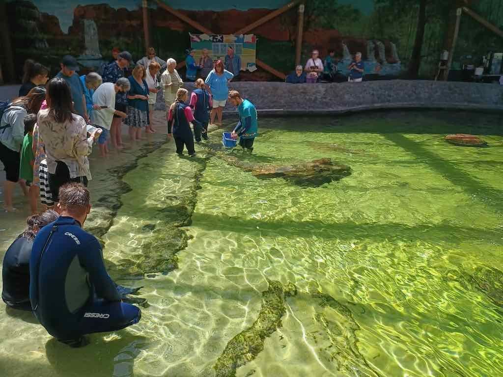 12th November PDT Irukandji + Cookabarra Barramundi Farm Image -6914eba17d8f8